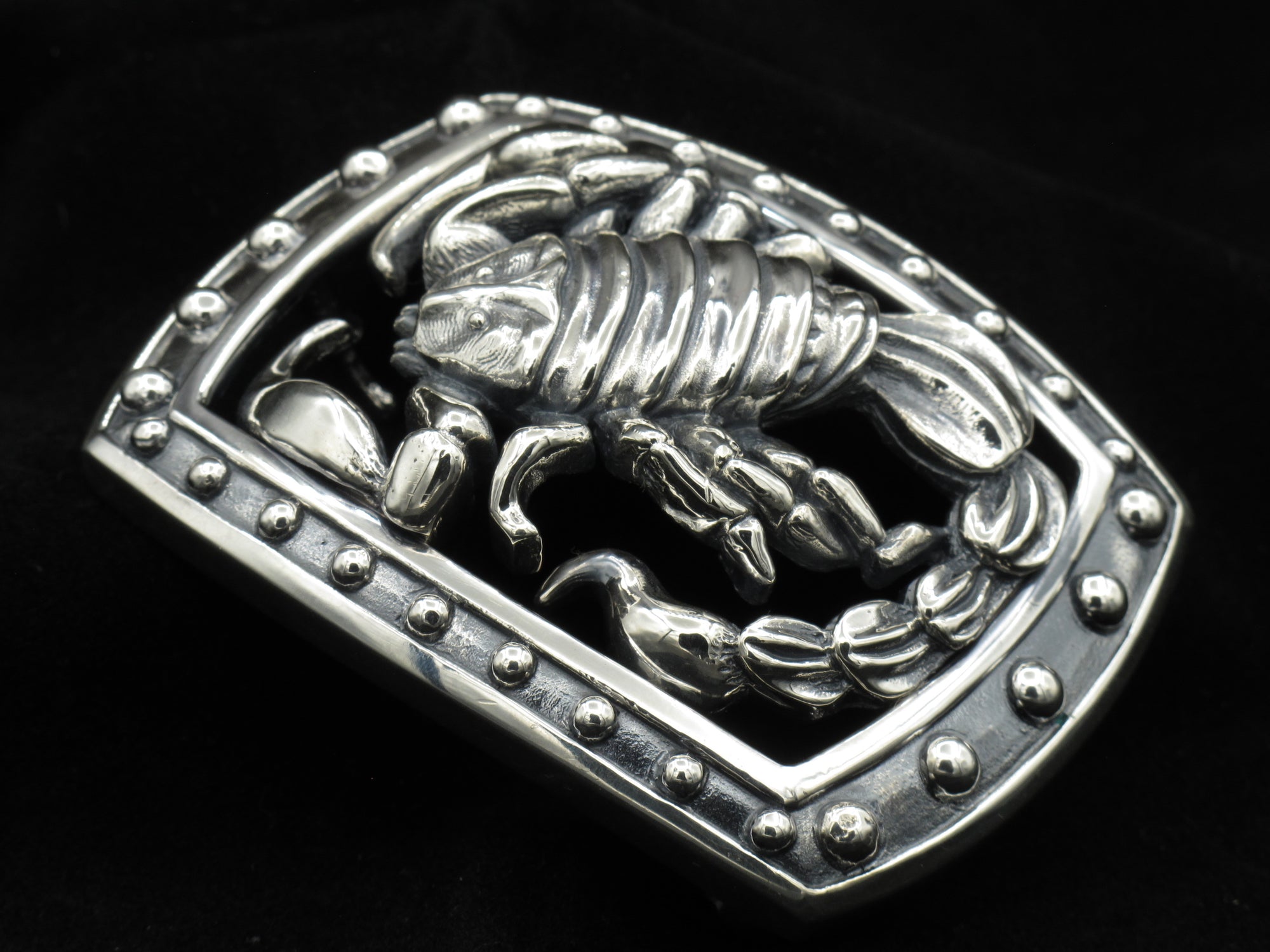 Spotlight on the Scorpion Buckle for 1.5" Straps