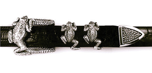 Sterling Frog 4 Pc. Buckle Set
