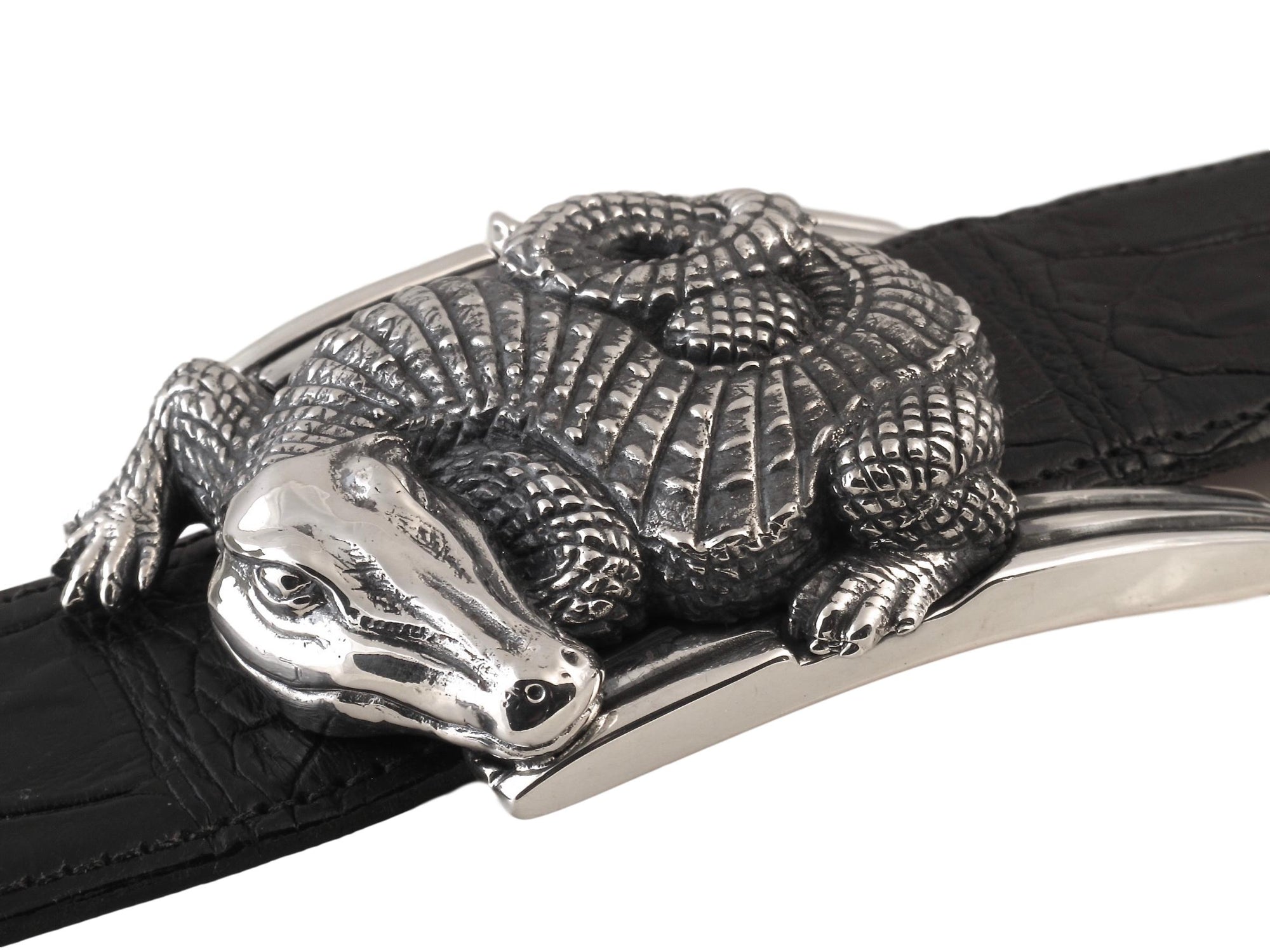 Front view of the Sterling Curved Alligator buckle showig its curled body resting on the polished buckle frame.