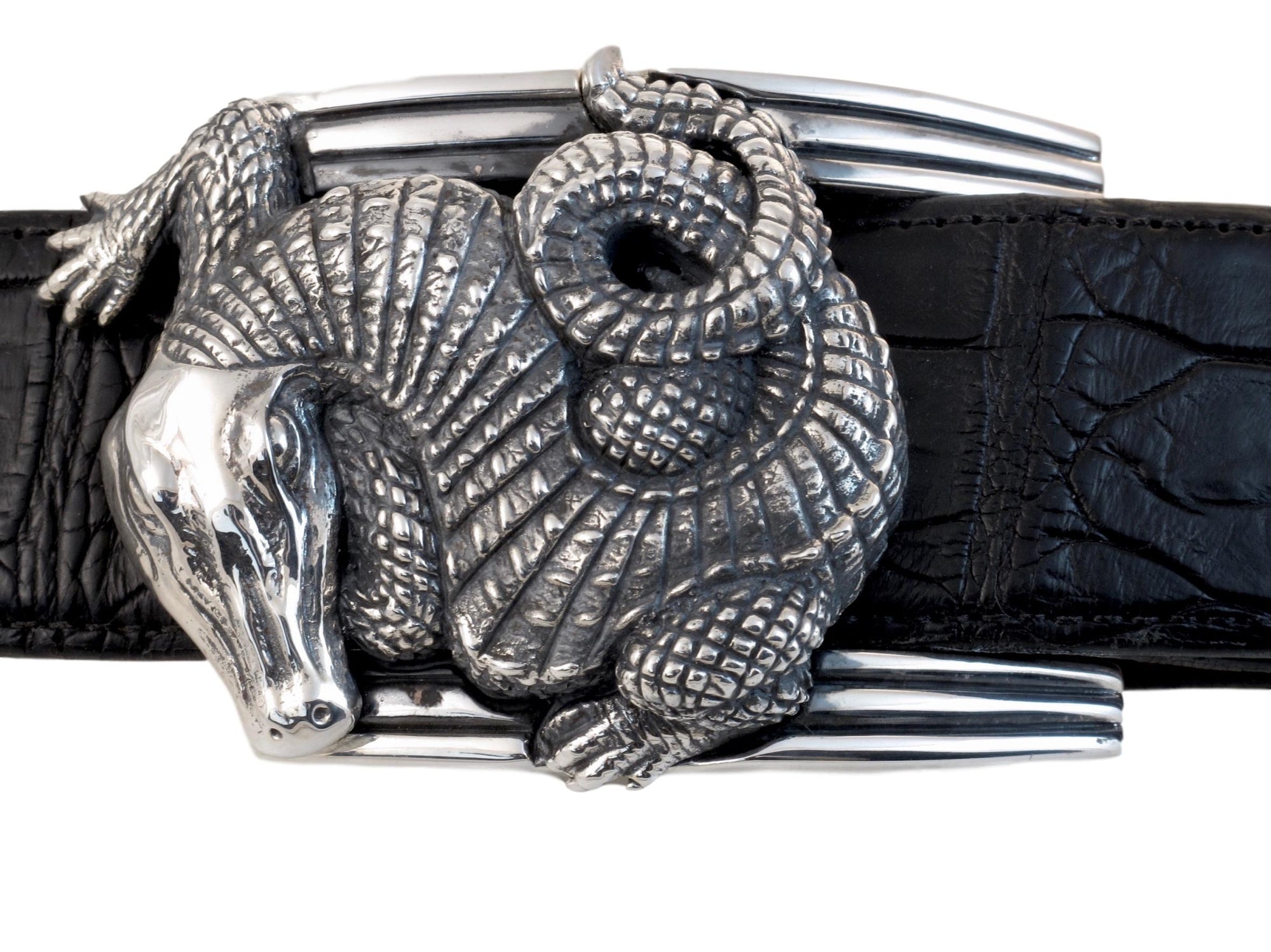 Front view of the Sterling Curved Alligator buckle showig its curled body resting on the polished buckle frame.